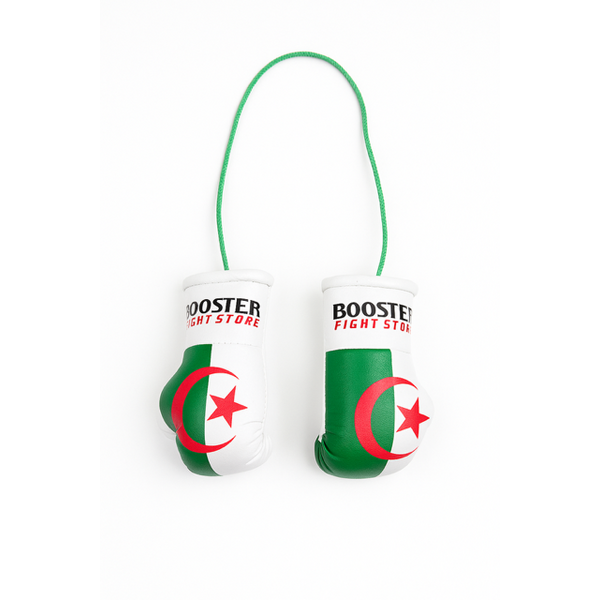 Booster Fightgear Mini gants de boxe accessoire de rétroviseur pour rétroviseur - Algerije