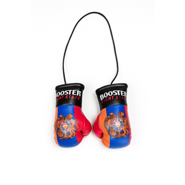 Booster Fightgear Booster - Mini Bokshandschoenen Carhanger voor in de auto - Armenië