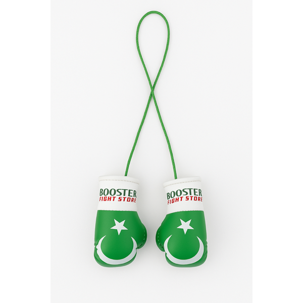 Booster Fightgear Mini gants de boxe accessoire de rétroviseur pour rétroviseur - Pakistan
