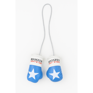 Booster Fightgear Mini bokshandschoenen - Somalie