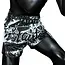 FAIRTEX BS1949 Grunge Muay Thai Shorts – Zwart