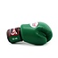 Twins Special Twins - bokshandschoenen - BGVL 3 - DK GREEN