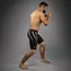 Venum WOW FC Vale Tudo Shorts- Black/ Silver Grey