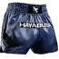 Hayabusa Muay Thai short Core Blauw