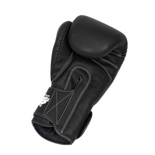 Booster Fightgear bokshandschoenen - Bokshandschoenen - PRO BGL VX 1