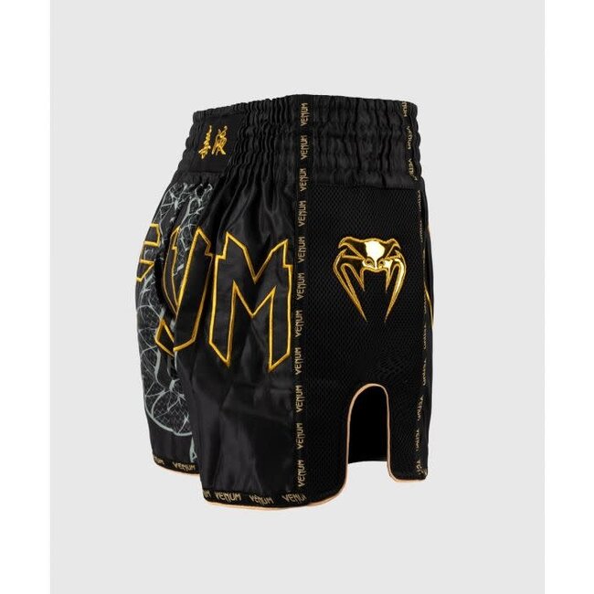 Venum VENUM -  Serpenti Muay Thai - SHORT - Black/Silver/Gold