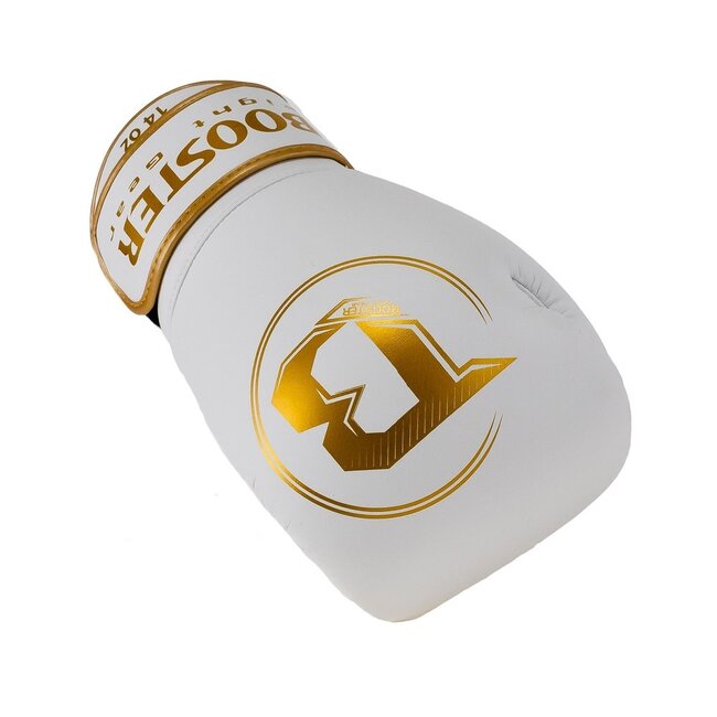 Booster Fightgear BOKSHANDSCHOEN - PRO BGL VX 4