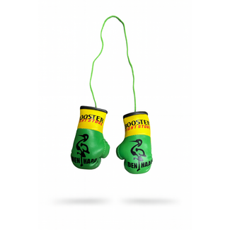 Booster Fightgear Mini Bokshandschoenen Carhanger – Den Haag Editie – Groen/Geel met Ooievaar