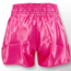 Booster Fightgear SHORT - TBT Core 5