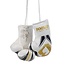Booster Fightgear MINI BOKSHANDSCHOEN - BFG MINI 2 - Wit/Goud