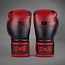 Venum RWS 2.0 Boxing Gloves - Black/Red
