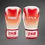Venum RWS 2.0 Boxing Gloves - White/Red