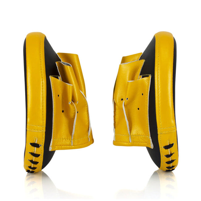 FAIRTEX Fairtex FMV15 Speed and Accuracy Focus Mitts - zwart/goud