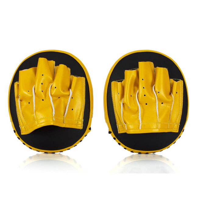 FAIRTEX Fairtex FMV15 Speed and Accuracy Focus Mitts - zwart/goud