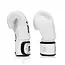FAIRTEX BGV1 ONE Limited Edition Leren Bokshandschoenen – Wit