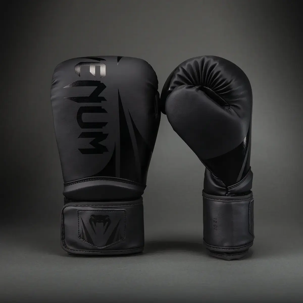 Venum Challenger 2.5 gants de boxe – noir/noir