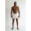 Booster Fightgear BFG Bangkok 2 Fightshort – Wit/Goud