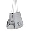 Booster Fightgear BFG RS LU Bokshandschoenen met Veters – Wit