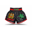 Fightsense FIGHTSENSE - Fightshort - MAROKKO - ATLAS GREEN STAR