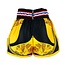 King Pro Boxing Short - KPB FLAG 4