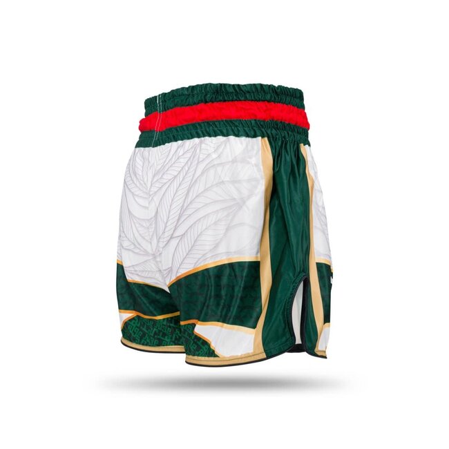 Booster Fightgear Short - TBT COUNTRY ALGERIJE