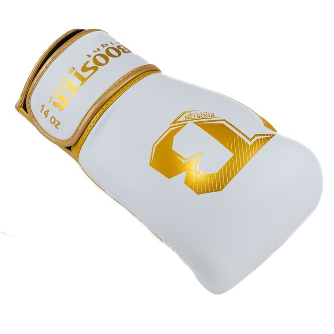 Booster Fightgear BOKSHANDSCHOEN - BFG RS 4