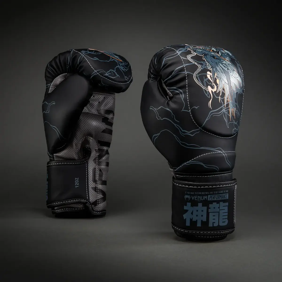 Venum Thunder Dragon gants de boxe - noir/gris/Copper