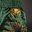 Venum Inferno 2.0 Muay Thai Shorts - Black/Khaki