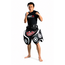 FAIRTEX TP3 Lowkick Pads – Blauw