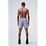 NSPIRE Hybrid Fightshort – Grijs