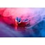 safe jaws Marvel Spider-Man Gebitsbeschermer – Rood
