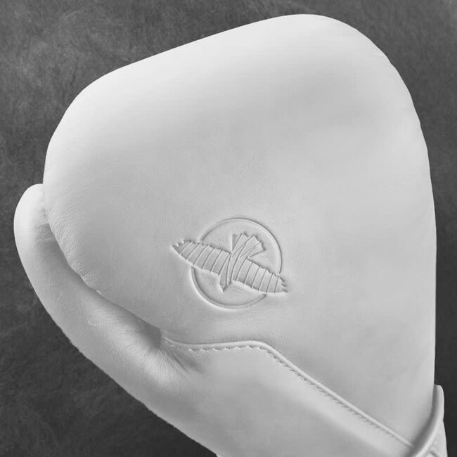 Hayabusa T360 Leather Bokshandschoenen – Sea Smoke – Training & Sparring