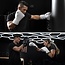 Hayabusa T360 Leather Bokshandschoenen – Sea Smoke – Training & Sparring