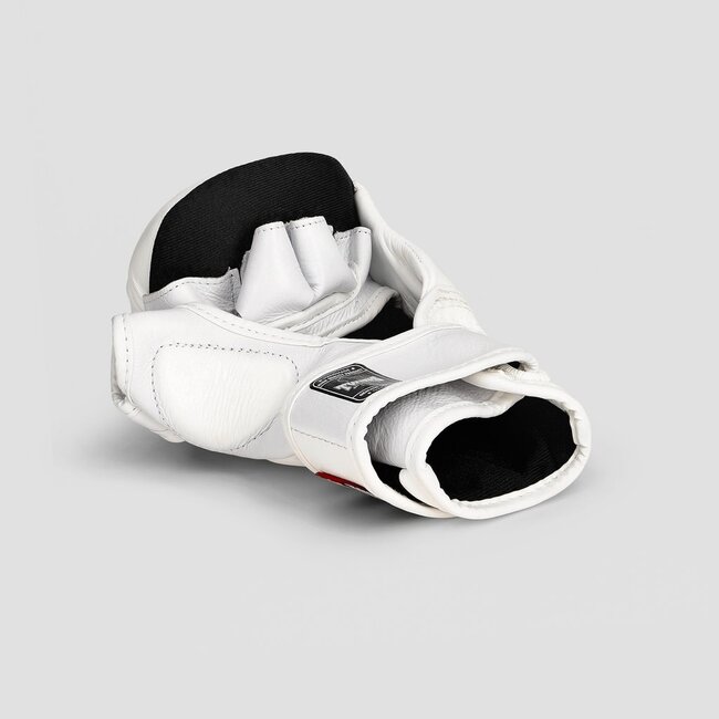 Twins Special Twins Special GGL 14 MMA Sparringhandschoenen – Wit