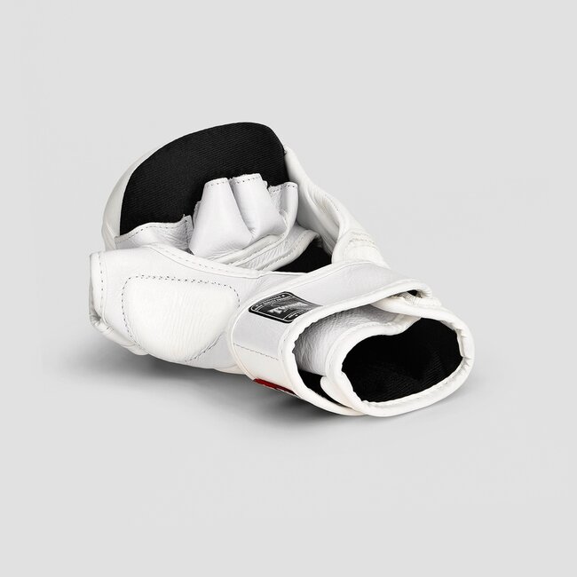 Twins Special Twins Special GGL 14 MMA Sparringhandschoenen – Wit