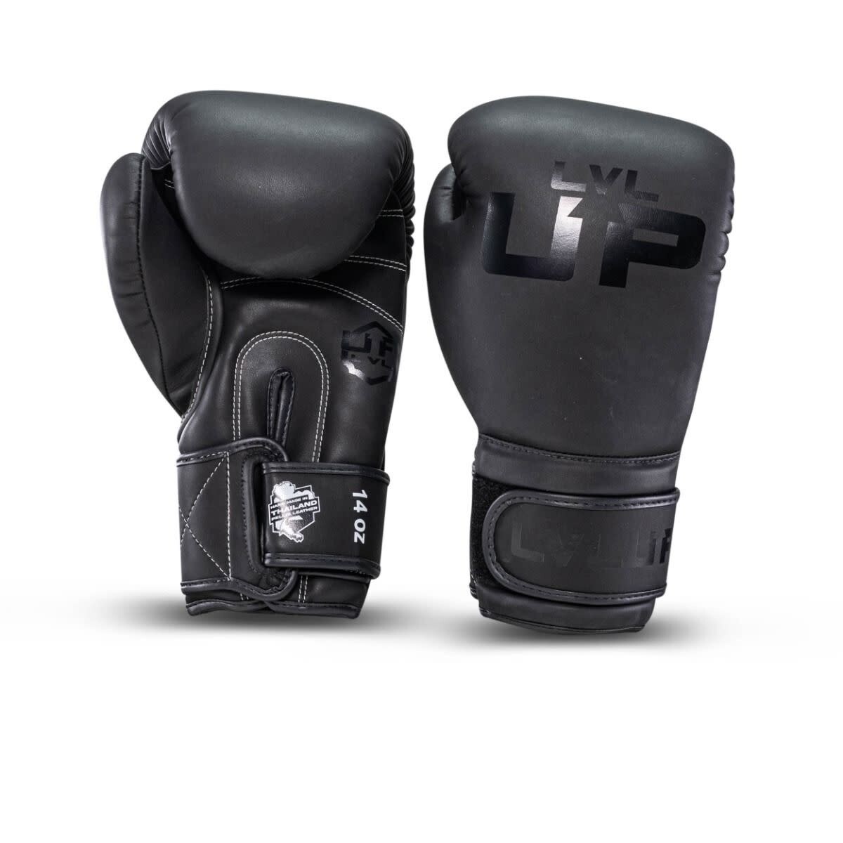 LVL-UP BG 2 gants de boxe – noir