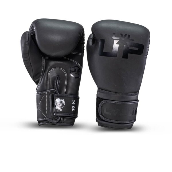 LVL-UP BG 2 gants de boxe – noir