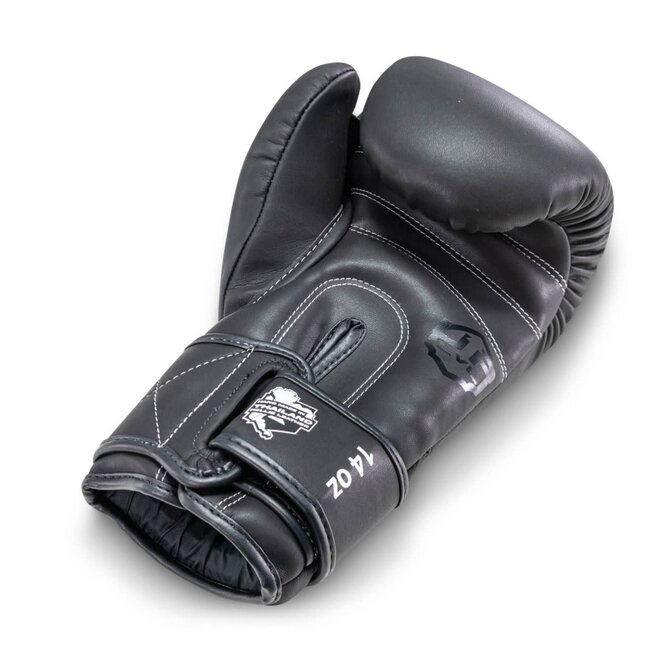 LVL-UP BG 2 Bokshandschoenen – Zwart