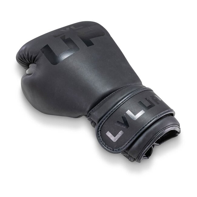 LVL-UP BG 2 Bokshandschoenen – Zwart