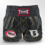Twins Special TBT Twins x Booster 2 Muay Thai Short