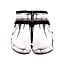 Twins Special TTBL Comic Muay Thai Short