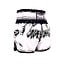Twins Special TTBL Comic Muay Thai Short