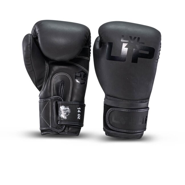 LVL-UP BG 2 Bokshandschoenen – Zwart