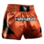 Hayabusa Muay Thai short Core Oranje