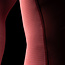 Hayabusa Apex Core Rashguard Heren Lange Mouw – Rood