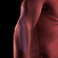 Hayabusa Apex Core Rashguard Heren Lange Mouw – Rood