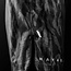Hayabusa Apex Vantage Fightshort Heren Full-Length – Carbon Black