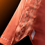 Hayabusa Apex Vantage Fightshort Dames – Sunset Coral