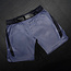 Hayabusa Apex Core Fightshort Heren 3/4 Thigh – Blauw