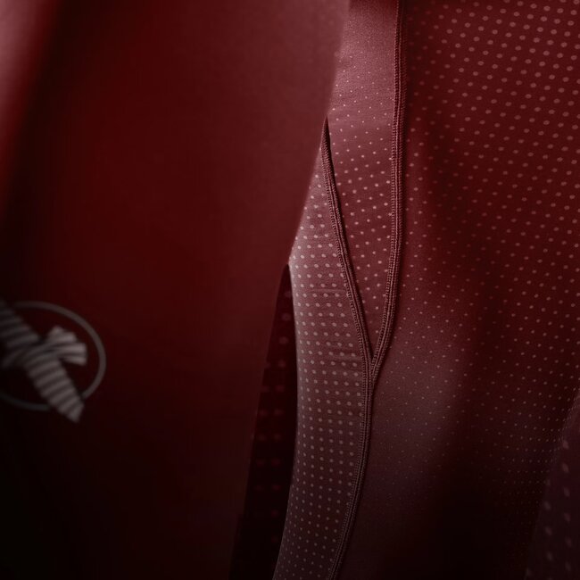 Hayabusa Apex Core Jiu-Jitsu Spats Heren – Rood
